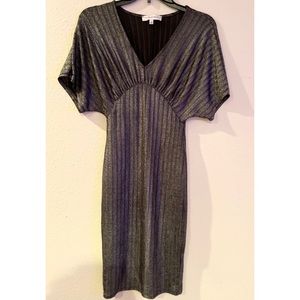 Silver dress fits size XS-S